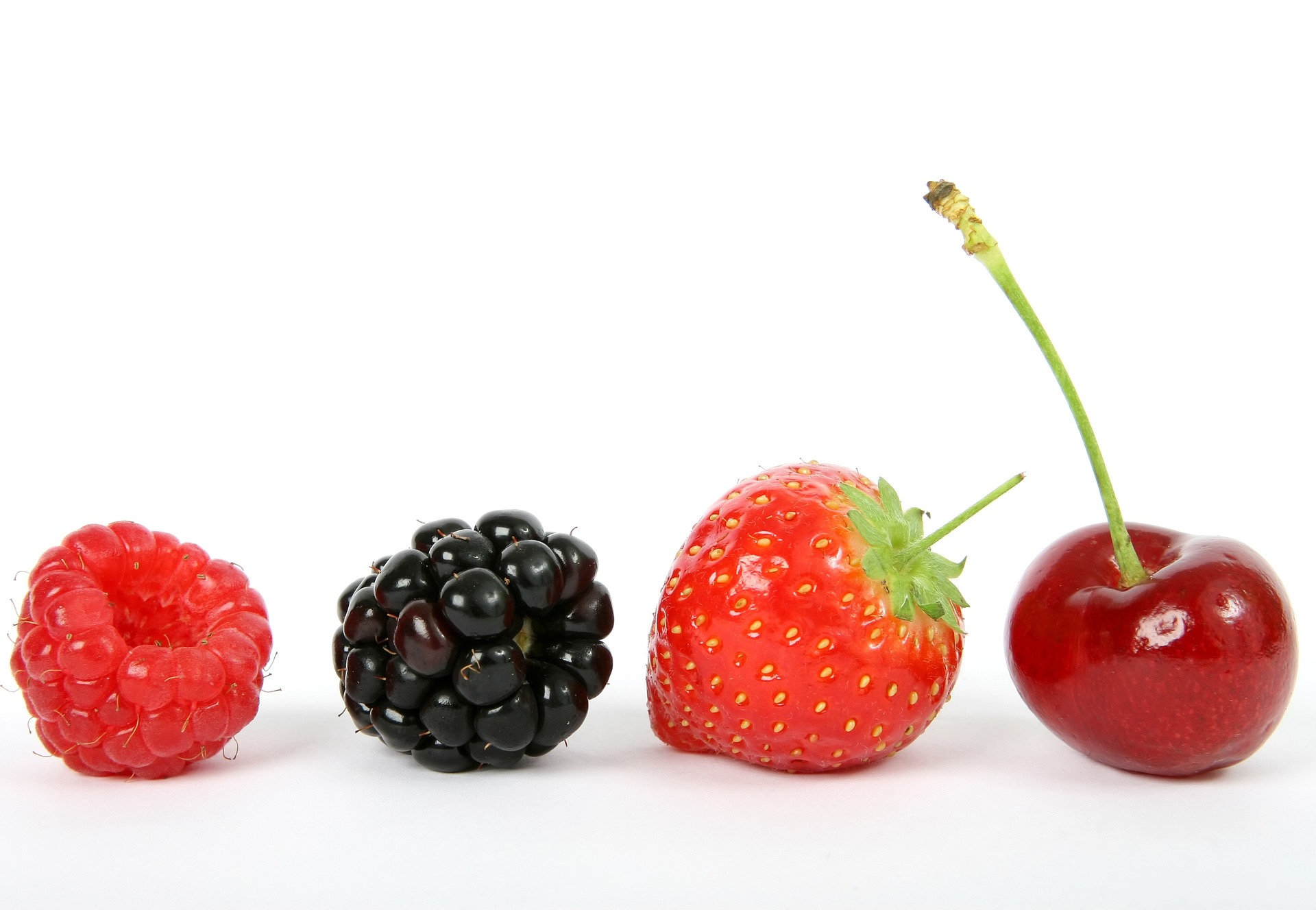row of delicious berries